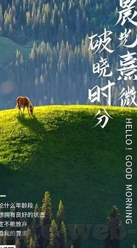 自由抢庄牛牛玩法介绍-自由抢庄牛牛玩法介绍
